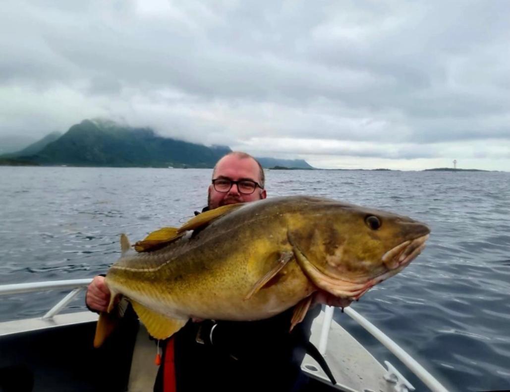 Lofoten And Vesteralen Kveldro Myrland Екстер'єр фото