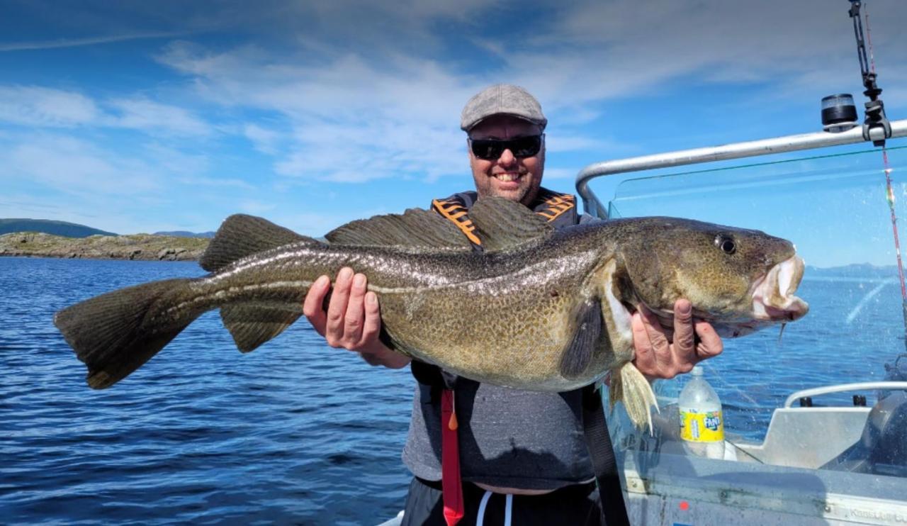 Lofoten And Vesteralen Kveldro Myrland Екстер'єр фото