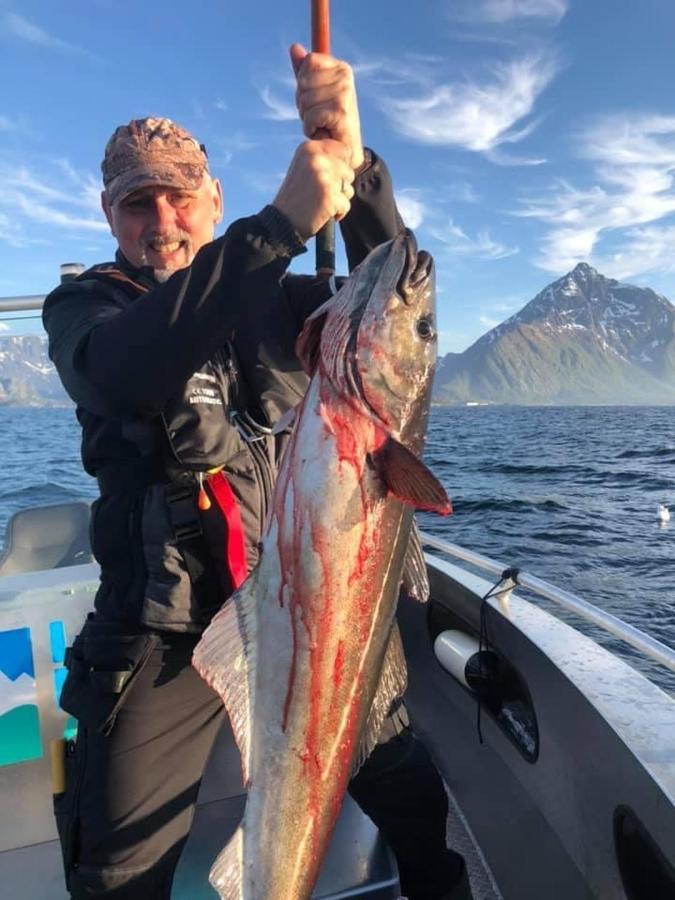 Lofoten And Vesteralen Kveldro Myrland Екстер'єр фото