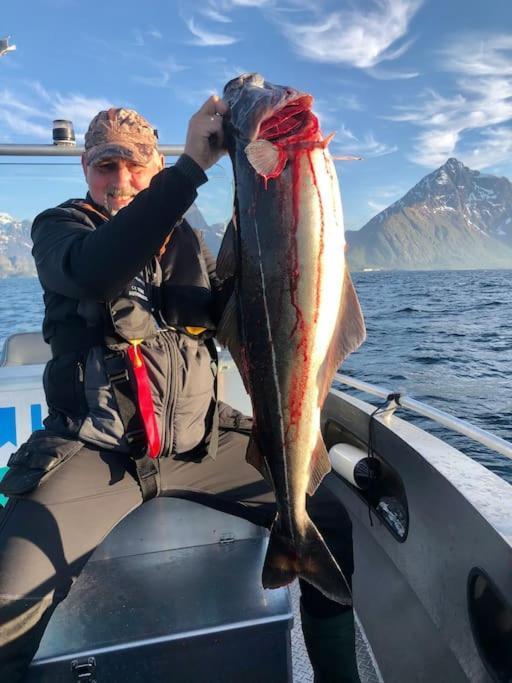 Lofoten And Vesteralen Kveldro Myrland Екстер'єр фото